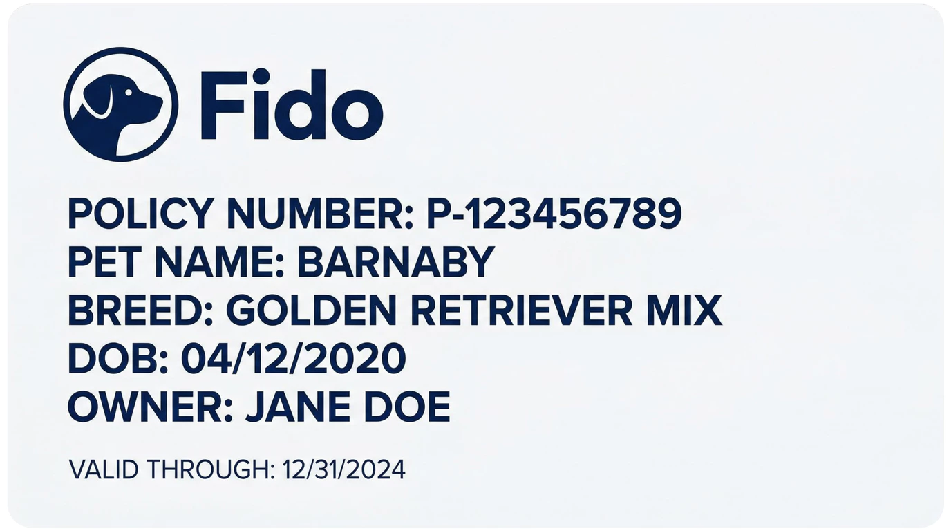 Insurance document 9